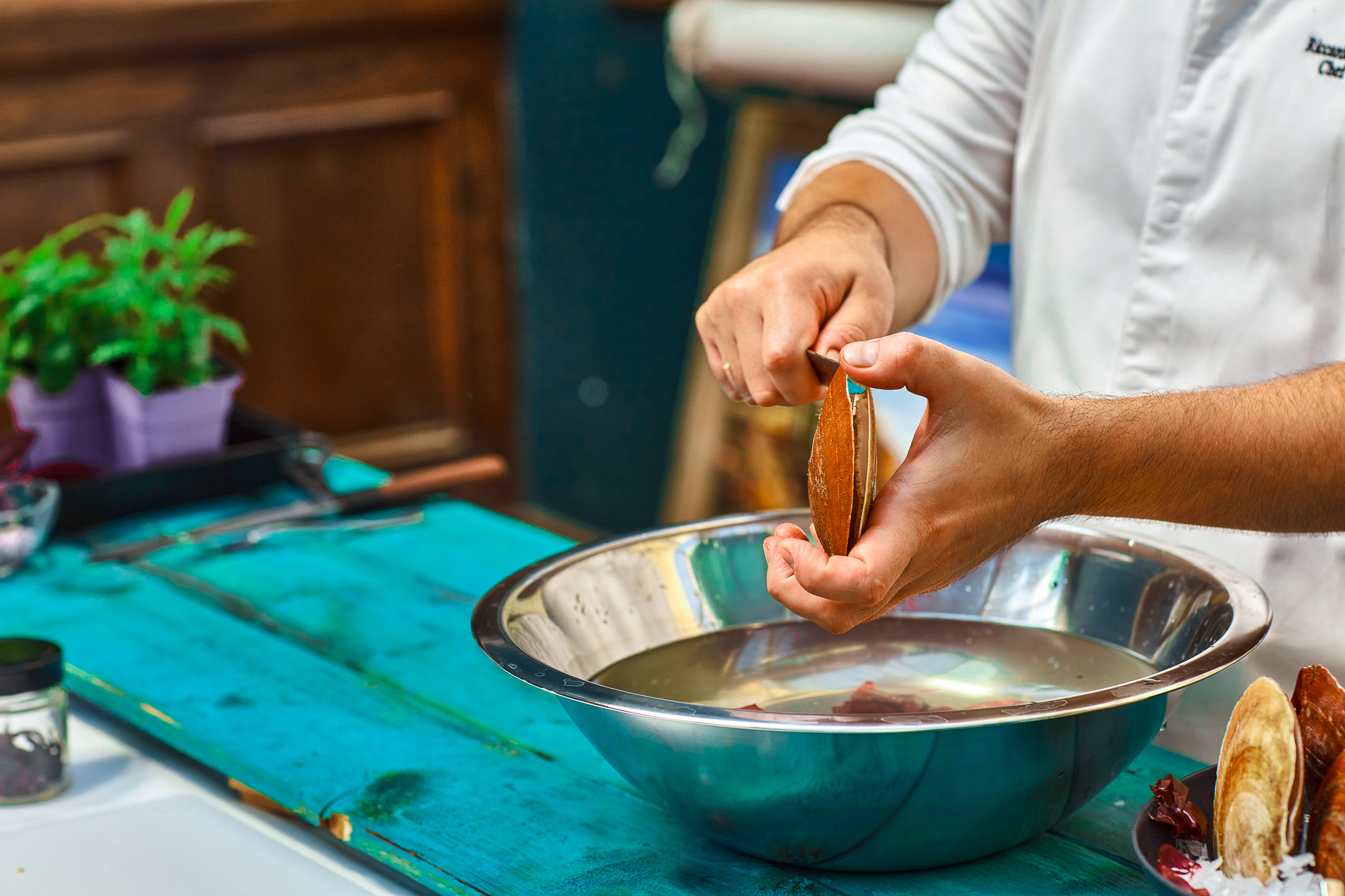 Image of Tenez le coquillage à la verticale dans votre main. Mettez...
