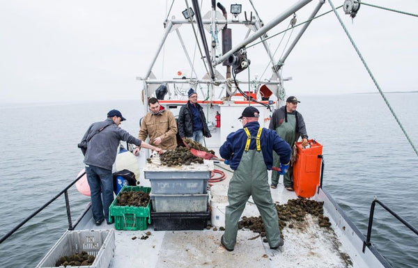 Approvisionnement local