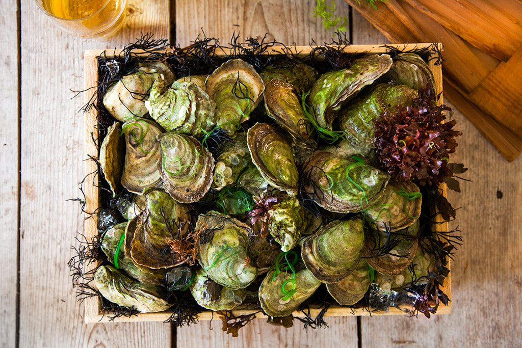 Huîtres Colville Bay Medium - 100 un