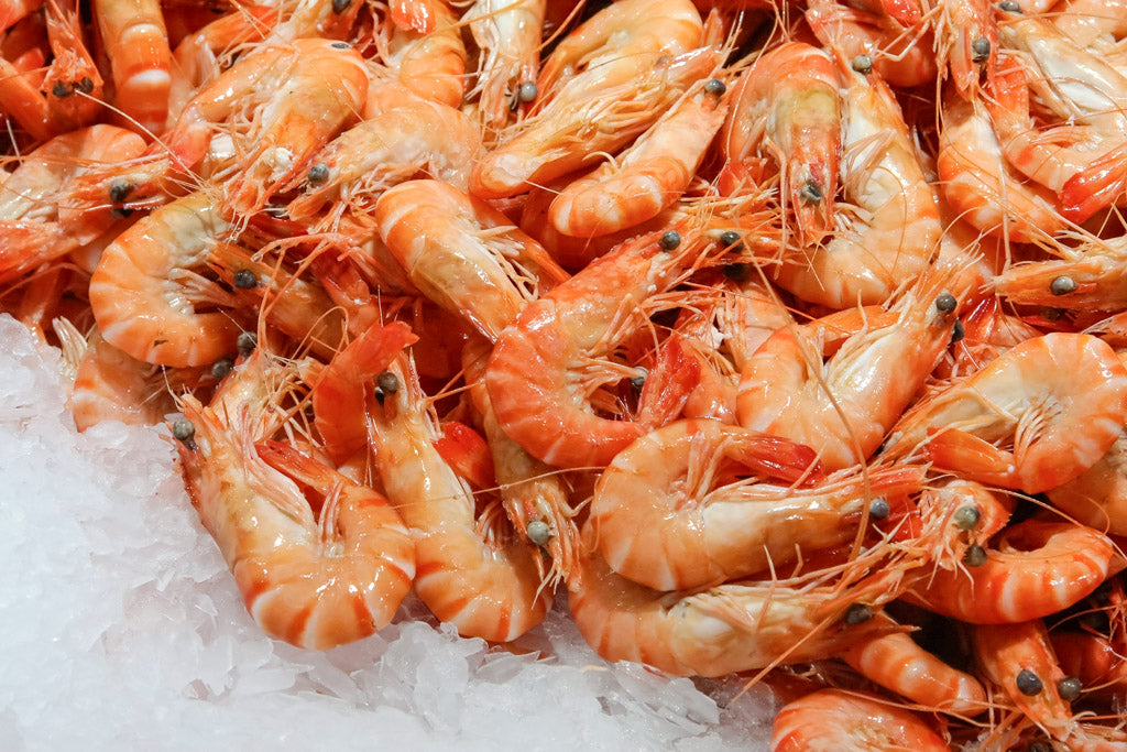 Crevettes Montagui de la Baie d'Ungava 95/125 - 1 lb