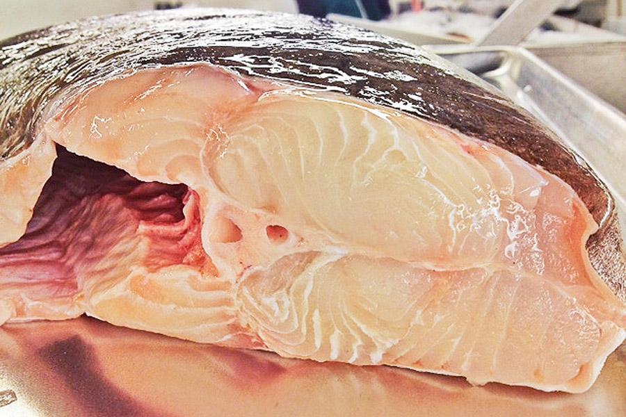 Darne de flétan - 250 gr