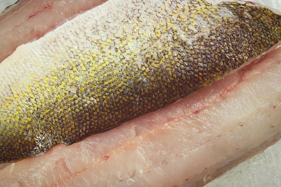 Filet de Doré de Lac - 400gr