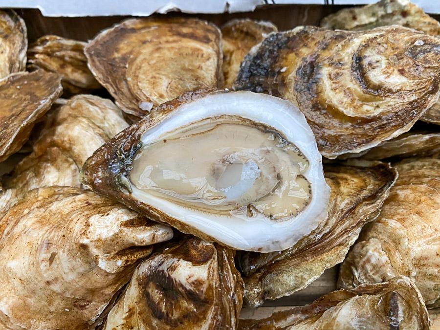 Huîtres Sexy Peques - 100 un