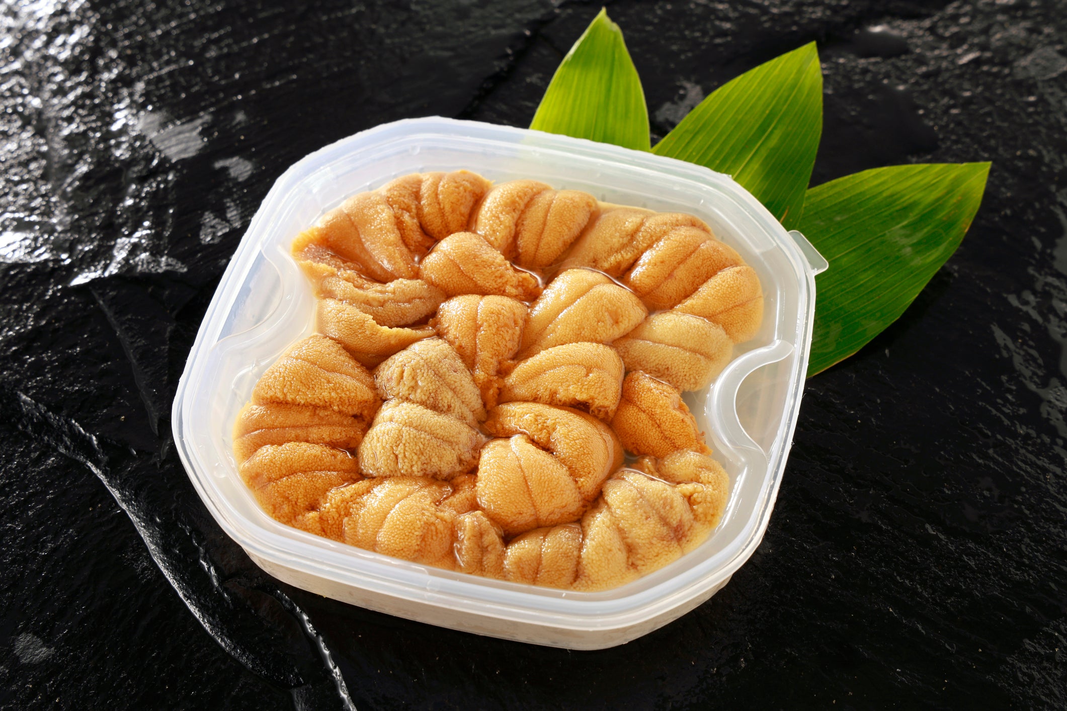 Gonades d'oursins congelées (QC) - 100gr