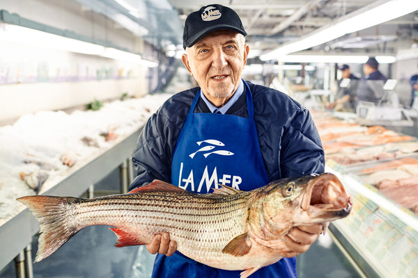 Notre fondateur M. Kosta