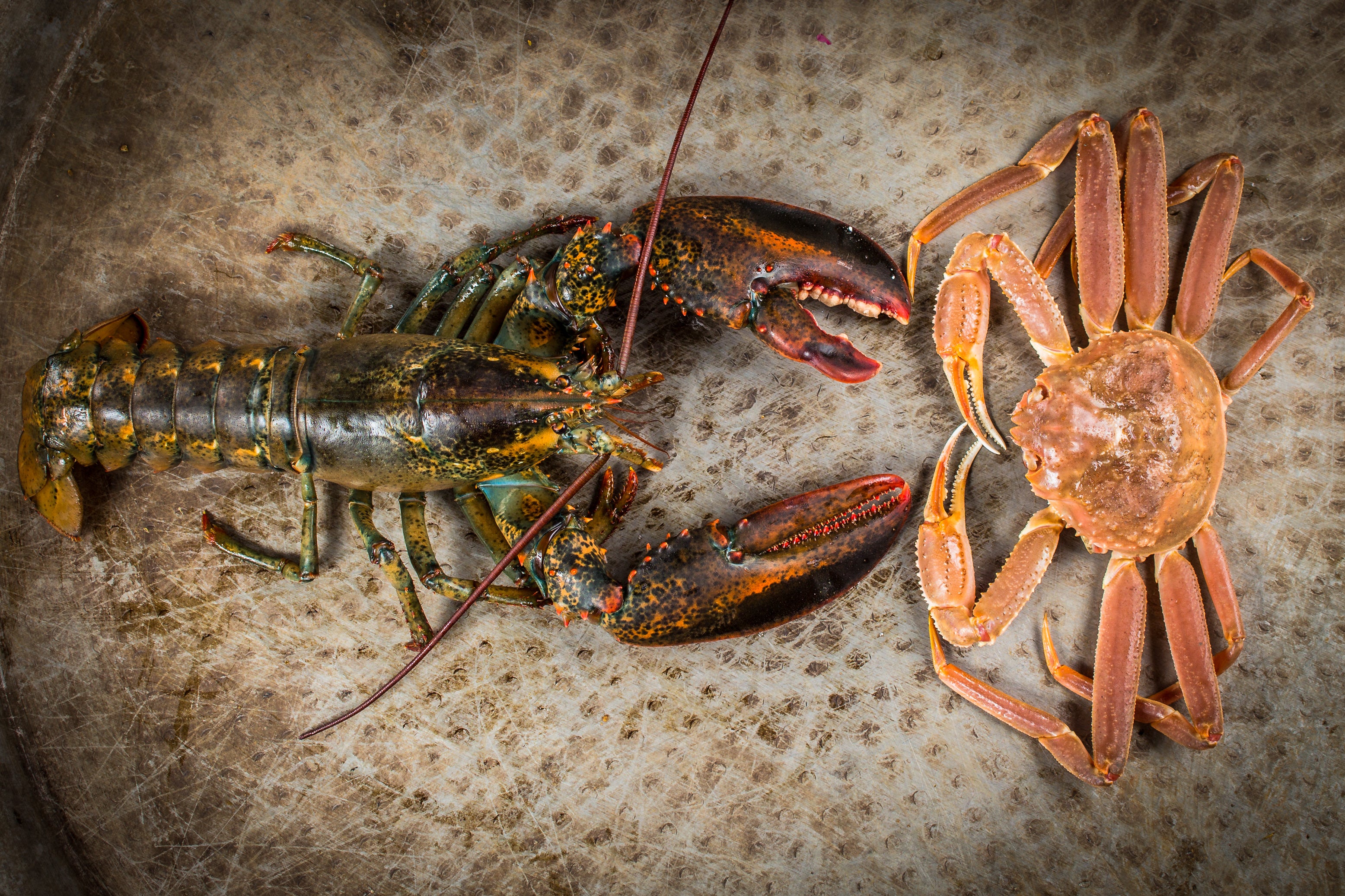 Produits Frais & Locaux