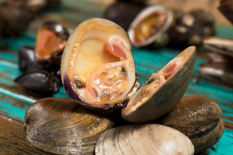 Palourdes Cherrystone - Dz