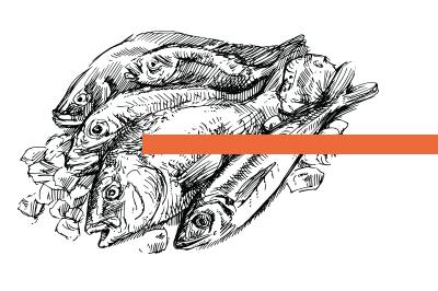 une grande variété